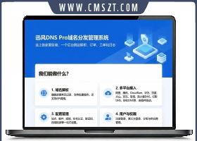 迅风DNS Pro二级域名分发V2.3.3系