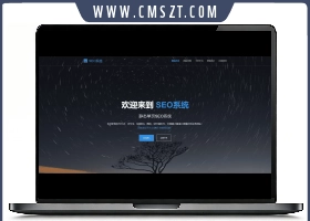 SEO站群系统源码 SEO优化系统 单