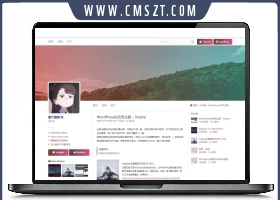 WordPress仿推特社交风格主题 &n