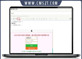 付费阅读自媒体插件源码 文章付