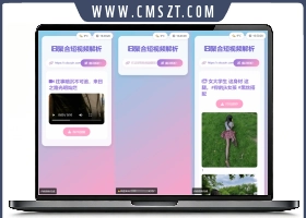 全新二次元聚合短视频解析去水印